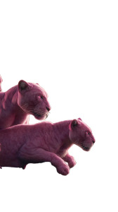 Pink Panthers Parade Vinyl Car Decal Sticker – Waterproof & UV-Resistant 4.8533333333333335"