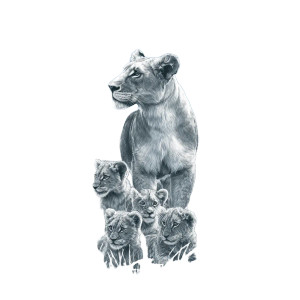 Lioness And Cubs V2 Vinyl Car Decal Sticker – Waterproof & UV-Resistant 3.4133333333333336"