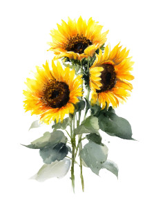 Sunflowers Watercolor V2 Vinyl Car Decal Sticker – Waterproof & UV-Resistant 8.213333333333333" Sunflowers Watercolor V2 Vinyl Car Decal Sticker – Waterproof & UV-Resistant 8.213333333333333"