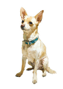 Chihuahua Portrait Vinyl Car Decal Sticker – Waterproof & UV-Resistant 4.32"