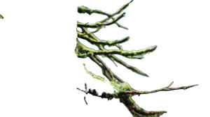 Growing Tree Branches Vinyl Car Decal Sticker – Waterproof & UV-Resistant 5.4 Growing Tree Branches Vinyl Car Decal Sticker – Waterproof & UV-Resistant 5.4