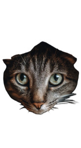 Upside Down Cat Vinyl Car Decal Sticker – Waterproof & UV-Resistant 4.96"