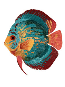 Folk Art Discus Vinyl Car Decal Sticker – Waterproof & UV-Resistant 8.213333333333333"