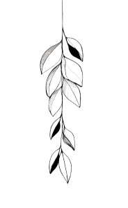 Minimalistic Leaf Sketch V3 Vinyl Car Decal Sticker – Waterproof & UV-Resistant 4.693333333333333"