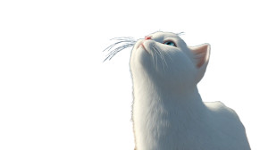 White Cat Sniffing V2 Vinyl Car Decal Sticker – Waterproof & UV-Resistant 5.4 White Cat Sniffing V2 Vinyl Car Decal Sticker – Waterproof & UV-Resistant 5.4
