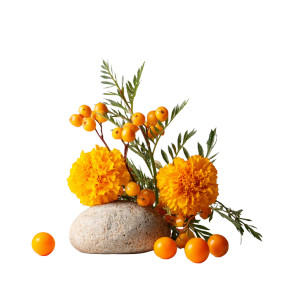 Marigold And Sea Buckthorn Vinyl Car Decal Sticker – Waterproof & UV-Resistant 3.4133333333333336"