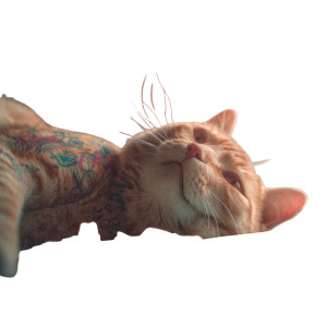 Tattooed Cat Relaxing Vinyl Car Decal Sticker – Waterproof & UV-Resistant 3.4133333333333336" Tattooed Cat Relaxing Vinyl Car Decal Sticker – Waterproof & UV-Resistant 3.4133333333333336"