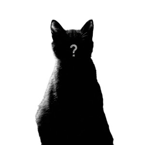 Fantasy Cat Silhouette Vinyl Car Decal Sticker – Waterproof & UV-Resistant 3.4133333333333336"