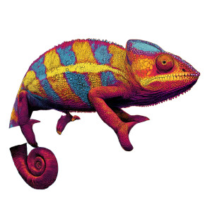 Vibrant Corporate Chameleon Vinyl Car Decal Sticker – Waterproof & UV-Resistant 3.4133333333333336"