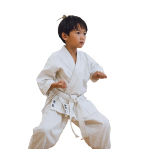 Karate Kids Vinyl Car Decal Sticker – Waterproof & UV-Resistant 3.4133333333333336" Karate Kids Vinyl Car Decal Sticker – Waterproof & UV-Resistant 3.4133333333333336"