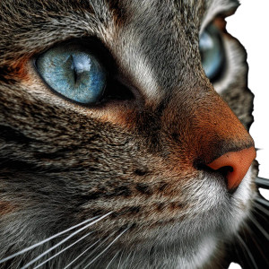 Cat Face V2 Vinyl Car Decal Sticker – Waterproof & UV-Resistant 3.4133333333333336"