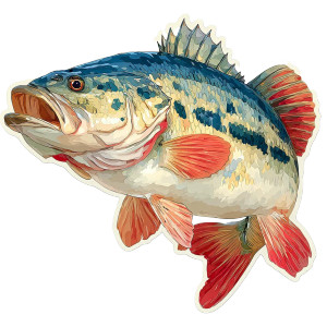 Striped Bass Sticker Vinyl Car Decal Sticker – Waterproof & UV-Resistant 3.4133333333333336"