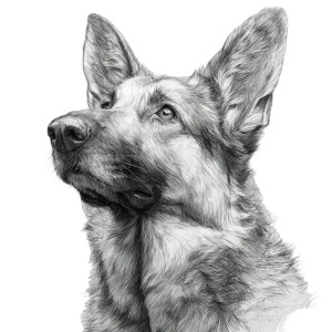 Dog Drawing Vinyl Car Decal Sticker – Waterproof & UV-Resistant 3.4133333333333336" Dog Drawing Vinyl Car Decal Sticker – Waterproof & UV-Resistant 3.4133333333333336"