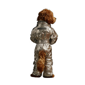 Space Cavapoo V2 Vinyl Car Decal Sticker – Waterproof & UV-Resistant 6.826666666666667" Space Cavapoo V2 Vinyl Car Decal Sticker – Waterproof & UV-Resistant 6.826666666666667"