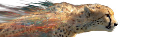 Speedy Cheetah Blur V3 Vinyl Car Decal Sticker – Waterproof & UV-Resistant 1.8133333333333332"