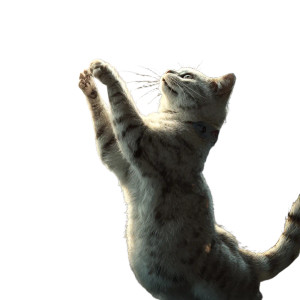 Space Cat Play Vinyl Car Decal Sticker – Waterproof & UV-Resistant 3.4133333333333336"