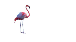 Moonlit Flamingo Vinyl Car Decal Sticker – Waterproof & UV-Resistant 5.4
