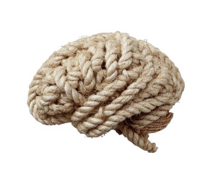 Rope Brain Vinyl Car Decal Sticker – Waterproof & UV-Resistant 3.4133333333333336" Rope Brain Vinyl Car Decal Sticker – Waterproof & UV-Resistant 3.4133333333333336"