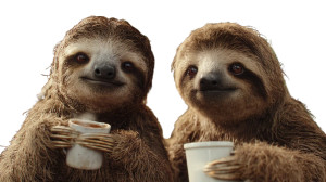 Coffee Sloths Vinyl Car Decal Sticker – Waterproof & UV-Resistant 2.72"