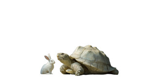 Chessboard Creatures Vinyl Car Decal Sticker – Waterproof & UV-Resistant 2.72"