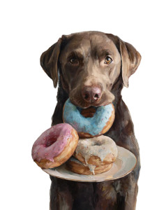 Labrador With Doughnuts Vinyl Car Decal Sticker – Waterproof & UV-Resistant 4.1066666666666665" Labrador With Doughnuts Vinyl Car Decal Sticker – Waterproof & UV-Resistant 4.1066666666666665"