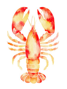 Simple Lobster Vinyl Car Decal Sticker – Waterproof & UV-Resistant 8.213333333333333" Simple Lobster Vinyl Car Decal Sticker – Waterproof & UV-Resistant 8.213333333333333"