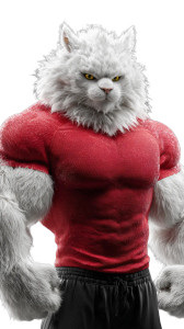 Muscular Fluffy Cat Vinyl Car Decal Sticker – Waterproof & UV-Resistant 4.8533333333333335" Muscular Fluffy Cat Vinyl Car Decal Sticker – Waterproof & UV-Resistant 4.8533333333333335"