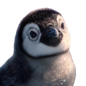 Cute Baby Penguin V6 Vinyl Car Decal Sticker – Waterproof & UV-Resistant 3.4133333333333336" Cute Baby Penguin V6 Vinyl Car Decal Sticker – Waterproof & UV-Resistant 3.4133333333333336"