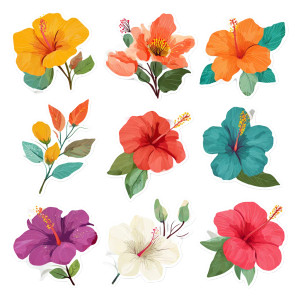 Hawaiian Hibiscus Vinyl Car Decal Sticker – Waterproof & UV-Resistant 6.826666666666667" Hawaiian Hibiscus Vinyl Car Decal Sticker – Waterproof & UV-Resistant 6.826666666666667"