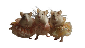 Dancing Hula Mice Vinyl Car Decal Sticker – Waterproof & UV-Resistant 5.4