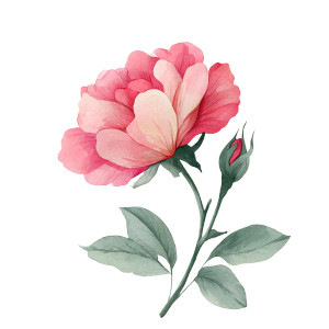 Human With Rose Vinyl Car Decal Sticker – Waterproof & UV-Resistant 6.826666666666667"