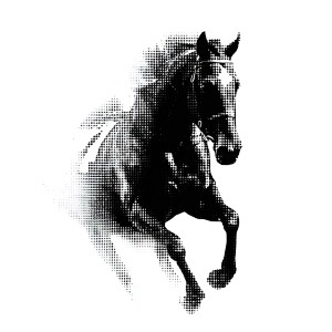Racing Horse Silhouette Vinyl Car Decal Sticker – Waterproof & UV-Resistant 3.4133333333333336" Racing Horse Silhouette Vinyl Car Decal Sticker – Waterproof & UV-Resistant 3.4133333333333336"