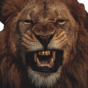 Smiling Lion Portrait Vinyl Car Decal Sticker – Waterproof & UV-Resistant 6.826666666666667"