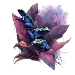 Poison Dart Frogs Vinyl Car Decal Sticker – Waterproof & UV-Resistant 3.4133333333333336"