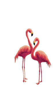 Pink Flamingos Beach Vinyl Car Decal Sticker – Waterproof & UV-Resistant 4.693333333333333"