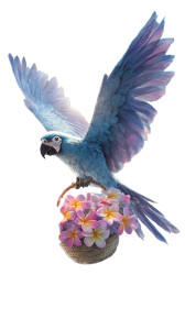Colorful Parrot Flight V2 Vinyl Car Decal Sticker – Waterproof & UV-Resistant 4.8533333333333335" Colorful Parrot Flight V2 Vinyl Car Decal Sticker – Waterproof & UV-Resistant 4.8533333333333335"