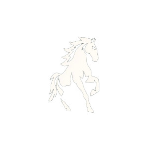 Horse Apparel Logo Vinyl Car Decal Sticker – Waterproof & UV-Resistant 6.826666666666667"