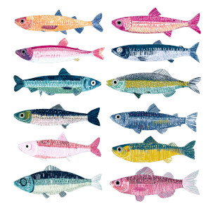 Colorful Sardine Print Vinyl Car Decal Sticker – Waterproof & UV-Resistant 3.4133333333333336" Colorful Sardine Print Vinyl Car Decal Sticker – Waterproof & UV-Resistant 3.4133333333333336"