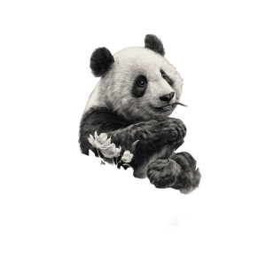 Panda Tattoo Design V3 Vinyl Car Decal Sticker – Waterproof & UV-Resistant 3.4133333333333336" Panda Tattoo Design V3 Vinyl Car Decal Sticker – Waterproof & UV-Resistant 3.4133333333333336"