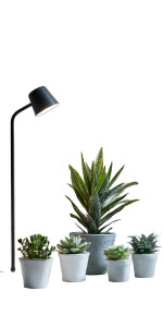 Desk Plants Setup Vinyl Car Decal Sticker – Waterproof & UV-Resistant 5.12"