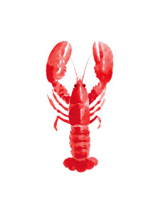 Watercolor Lobster Vinyl Car Decal Sticker – Waterproof & UV-Resistant 8.213333333333333" Watercolor Lobster Vinyl Car Decal Sticker – Waterproof & UV-Resistant 8.213333333333333"