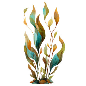 Underwater Kelp Vinyl Car Decal Sticker – Waterproof & UV-Resistant 3.4133333333333336" Underwater Kelp Vinyl Car Decal Sticker – Waterproof & UV-Resistant 3.4133333333333336"