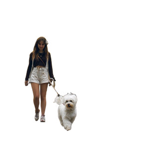 Dog In Park V5 Vinyl Car Decal Sticker – Waterproof & UV-Resistant 3.4133333333333336"