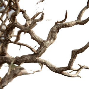 Realistic Tree Branches Vinyl Car Decal Sticker – Waterproof & UV-Resistant 3.4133333333333336" Realistic Tree Branches Vinyl Car Decal Sticker – Waterproof & UV-Resistant 3.4133333333333336"
