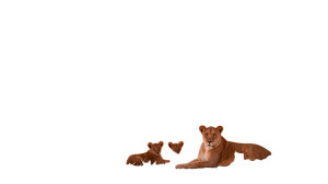 Lioness With Cubs V3 Vinyl Car Decal Sticker – Waterproof & UV-Resistant 2.72"