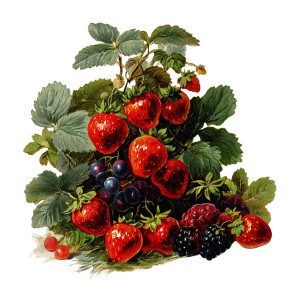 Berry Pile Vinyl Car Decal Sticker – Waterproof & UV-Resistant 3.4133333333333336"