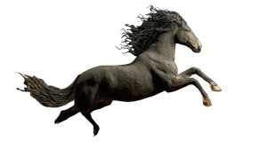Bajun Galloping Vinyl Car Decal Sticker – Waterproof & UV-Resistant 2.72"