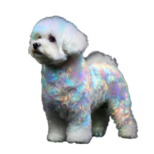 Iridescent Bichon Vinyl Car Decal Sticker – Waterproof & UV-Resistant 3.4133333333333336"