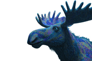 Coral Reef Moose Vinyl Car Decal Sticker – Waterproof & UV-Resistant 5.97333333333333
