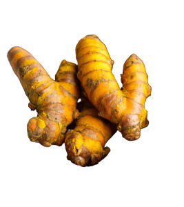 Fresh Turmeric Roots Vinyl Car Decal Sticker – Waterproof & UV-Resistant 3.8